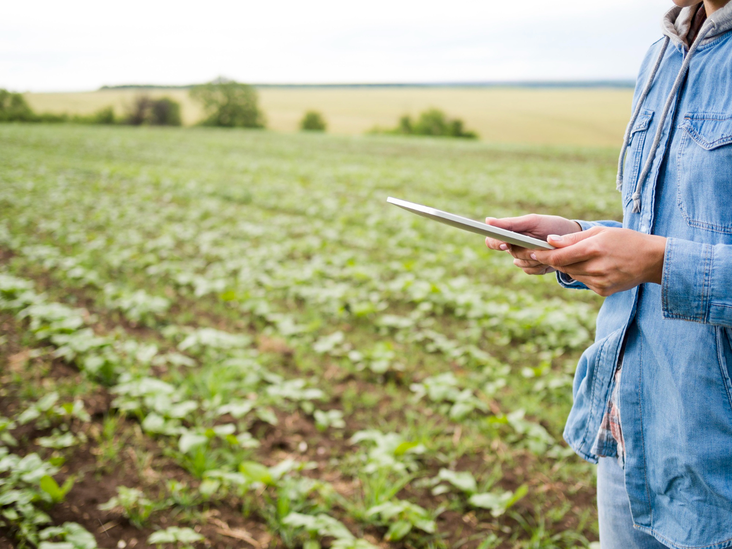 El progreso técnico en la agricultura